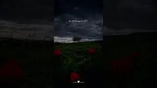 short video #islamic video #explore islam #islamic status #motivational #shorts #islamic #urdupoetry
