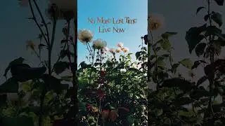 No More Lost Time #music #indie #electronic