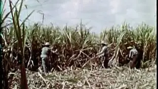 CUBA BEFORE FIDEL CASTRO'S COMMUNIST REVOLUTION 9/12