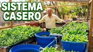 Acuaponía para Producir Peces y Hortalizas