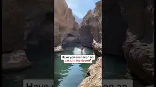 Oasis in the desert🏝️ #oman #muscat #travel #oasis #desert #shorts #short #exploretheworld