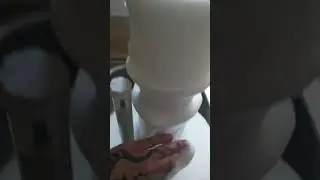 Foam cleaning a second-hand Deltec protein skimmer...