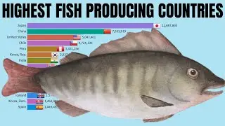 Countries with highest fish production - Highest fish producing countries (1960 - 2016)