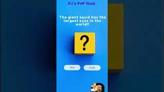Pop Quiz!!! || ItsKJ #explorepage #quizzing #itskj #facts #quiz