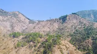 Exploring Nature on Two Wheels | Cinematic Moto Travel Vlog