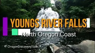 Youngs River Falls - North Oregon Coast