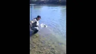 Dynamic Lures: Arkansas River Trout