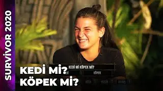 KEDİ Mİ? KÖPEK Mİ? | Survivor 2020