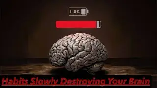 Everyday Habits Slowly Destroying Your Brain &mdash; Andrew Huberman Explains