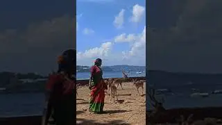 Ross Island Vlogs 
