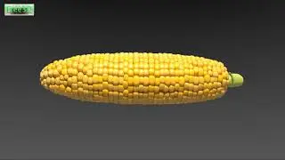 [Free3D] Corn asset