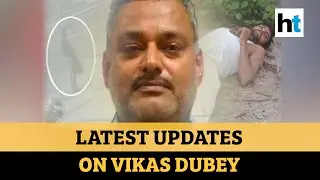 Hunt for gangster Vikas Dubey intensifies: All the latest updates