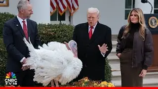 WATCH THE MOMENT When President Trump Pardoned The Turkey | National Thanksgiving | Gobble | N18G