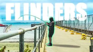 I Wasn&rsquo;t Expecting This Fishing Pier Near Melbourne to Hold Fish Like This!