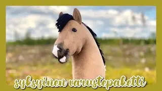 Uusia Varusteita 😍💝 | Paketinavausvideo