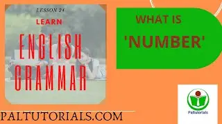 NUMBER IN ENGLISH GRAMMAR I SINGULAR NUMBER I PLURAL NUMBER