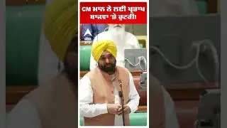 CM BHAGWANT MANN | 'PPS 'ਚ ਹੈਨੀ ਪੰਜਾਬੀ' |Partap Bajwa| BBMB Water Dispute | Punjab-Haryana | #shorts