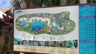 Discovery Cove - Mix - #florida #estadosunidos #Paradise #experience  #dolphin #florida #Orlando