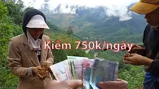 Khám Phá Vùng Quê Miền Núi | Một ngày kiếm 750K | Sơn Cước Official