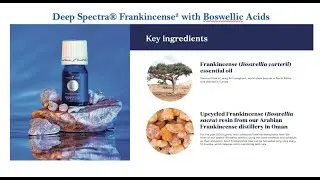 The Benefits of Deep Spectra YL Oils