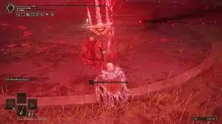 Messing Around with Mohgwyn&rsquo;s Sacred Spear - Elden Ring PvP