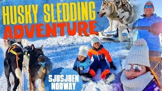 HUSKY SLEDDING Adventure in Sjusj&oslash;en, Norway |  TourYes Travels & Adventures
