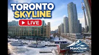 Toronto Window Cam LIVE HD | MaoChow Adventure 3rd Feb 2026