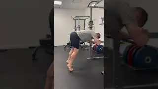 Donkey Calf Raise