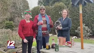 Delicious Drinks: Holiday Mocktail