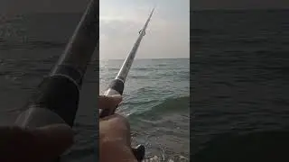 Shore fishing on rocks #fishing #fish #fishing #fish