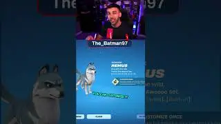 Ты получил этого напарника бесплатно? #fortnite #youtubeshorts #fyp