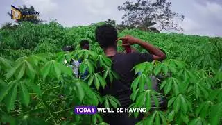 Earn From Your Land Before You Sell It | Palm City Agro Investment