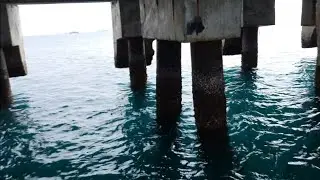 MANCING DIDERMAGA SEBALANG LAMPUNG