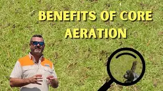 What Are the Benefits of Core Aeration?