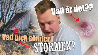 Mystiska utslag på Pontus!? || Vlogg 26
