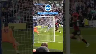 SHOULD WELBECK HAVE BURIED IT? 😮 - Brighton run riot! ￼