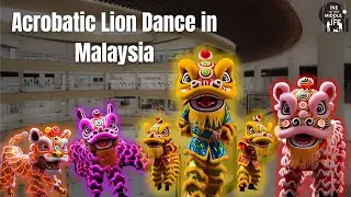 Lion Dance Vibes in Malaysia 🇲🇾 | Must-See Cultural Show! | සිංහ නර්තන දර්ශනය
