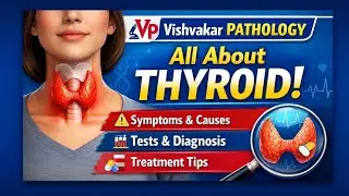 Thyroid awareness: Everything you need to know 