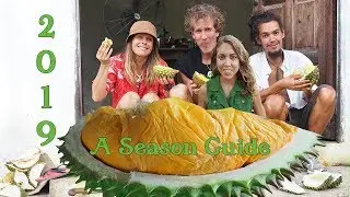 2019 Malaysia Durian Season Forecast and Travel Guide 😋✈🌴