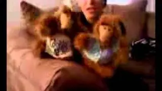 Alf Puppet Show...
