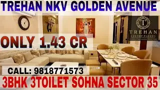 TREHAN NKV GOLDEN AVENUE | SOHNA SECTOR 35 | 9818771573 | #sohna #trehan 