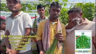 #karnataka news#vnr #agriculture #farming #rajni #ridgegourd 