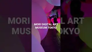 WORLD&rsquo;S FIRST DIGITAL ART MUSEUM | MORI DIGITAL ART MUSEUM JAPAN