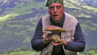 Raccolta funghi porcini 