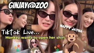 LIVE🔴 Eng.Sub | Tiktok Live GinJay @Zoo🐒 Jayna & Siblings🙈🙊🐒