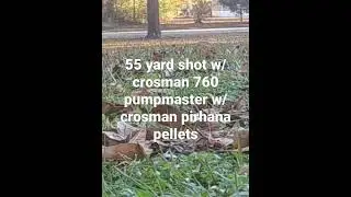 crosman 760 pumpmaster long range shot