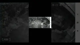 Viral Video : वृद्ध महिलेवर केला बिबट्याने हल्ला | Leopard attacks woman near Aarey Colony