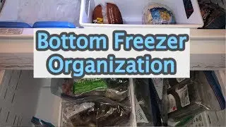 Clean and Organize my Bottom Freezer