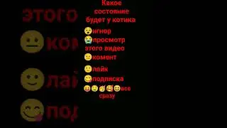 какое состояние будет у котика