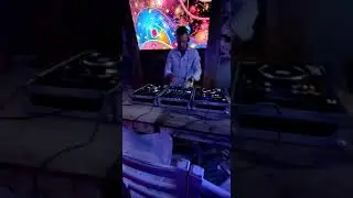 @Pig on the beach . Irish Jig Stompy stomp 🍀🍀🍀 😂🔊🎶